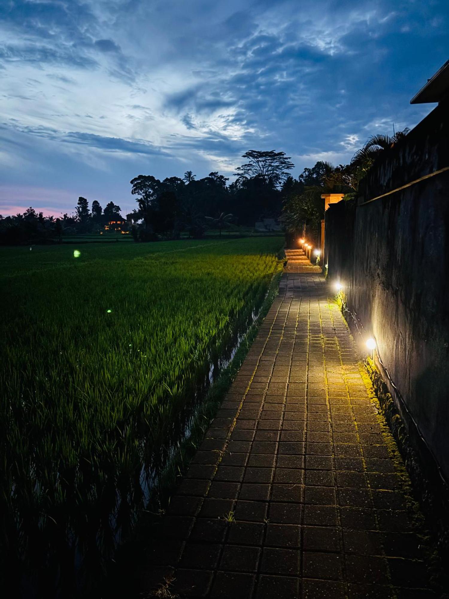 Uma Padi Villa Ubud Exterior foto