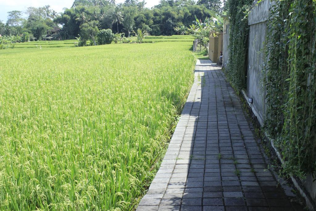 Uma Padi Villa Ubud Exterior foto